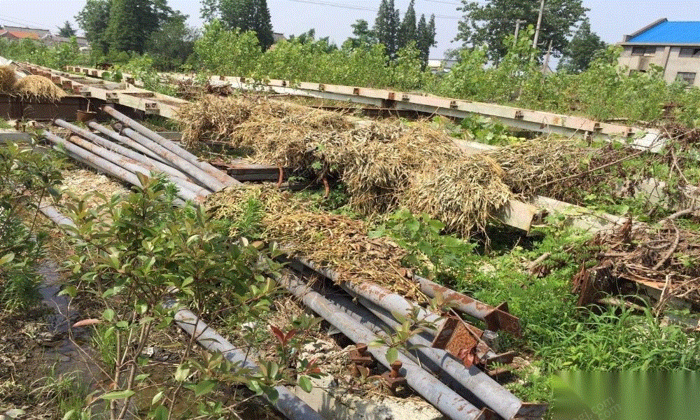 二手钢结构厂房转让
