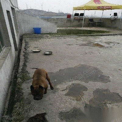 拆除搬迁出售