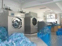 水洗厂全套设备低价转让100KG全自动水洗机两台（海狮/洁神）50KG全自动水洗机1台等