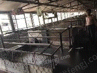 平谷出售养猪场设备