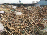 福建福州永泰县某废品回收公司出售PP编织袋废料每月1吨