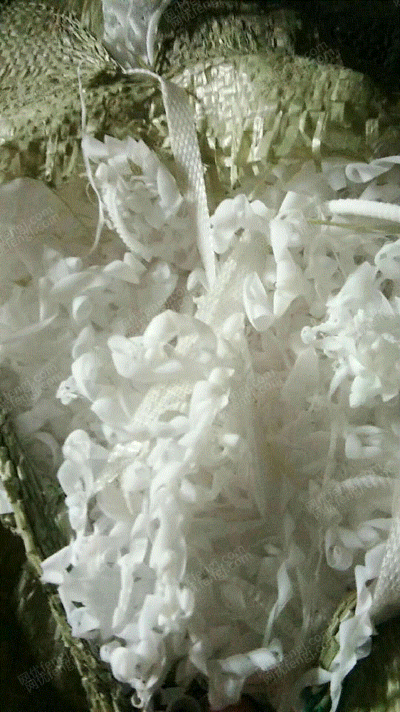 特种废塑料出售