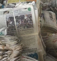 小全废纸回收部出售旧报纸10吨/月