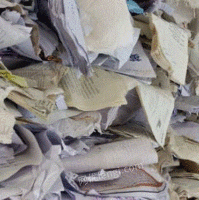 广深废品站出售废书本文件纸20吨/月