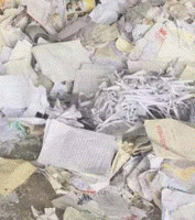 杨光辉（个体经营）收购部出售废书本文件纸20吨/月