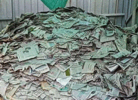 陈先生（个人经营）打包站出售废旧报纸每月30吨