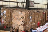 河南郑州个人经营打包站长期供应废纸箱通货每月60吨
