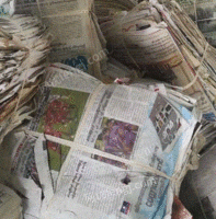 赵经理（个体经营）打包站出售废旧报纸每月30吨