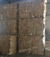 枣庄废纸打包厂大量供应废黄板纸每月90吨