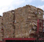 肖老板（个体经营）打包站大量供应废黄板纸每月90吨