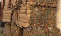 江苏徐州个人经营打包站大量供应废黄板纸每月90吨
