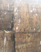 李任(个体经营)打包站大量供应废黄板纸每月90吨