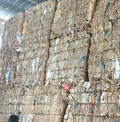 江苏徐州（个人经营）打包站大量供应废黄板纸每月90吨