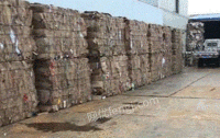 河北唐山个人经营打包站大量供应废黄板纸每月90吨