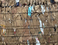 星哥（个体经营）打包站长期供应废纸箱通货每月60吨