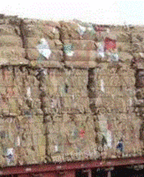 谢锦辉（个人经营）打包站长期供应废纸箱通货每月60吨