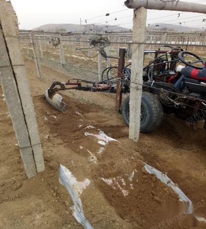 四区多路液压扒葡萄土机器低价出售