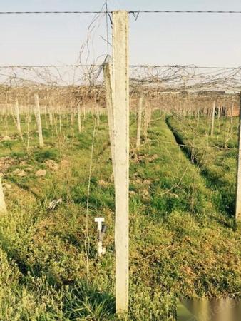 其它水泥设备出售