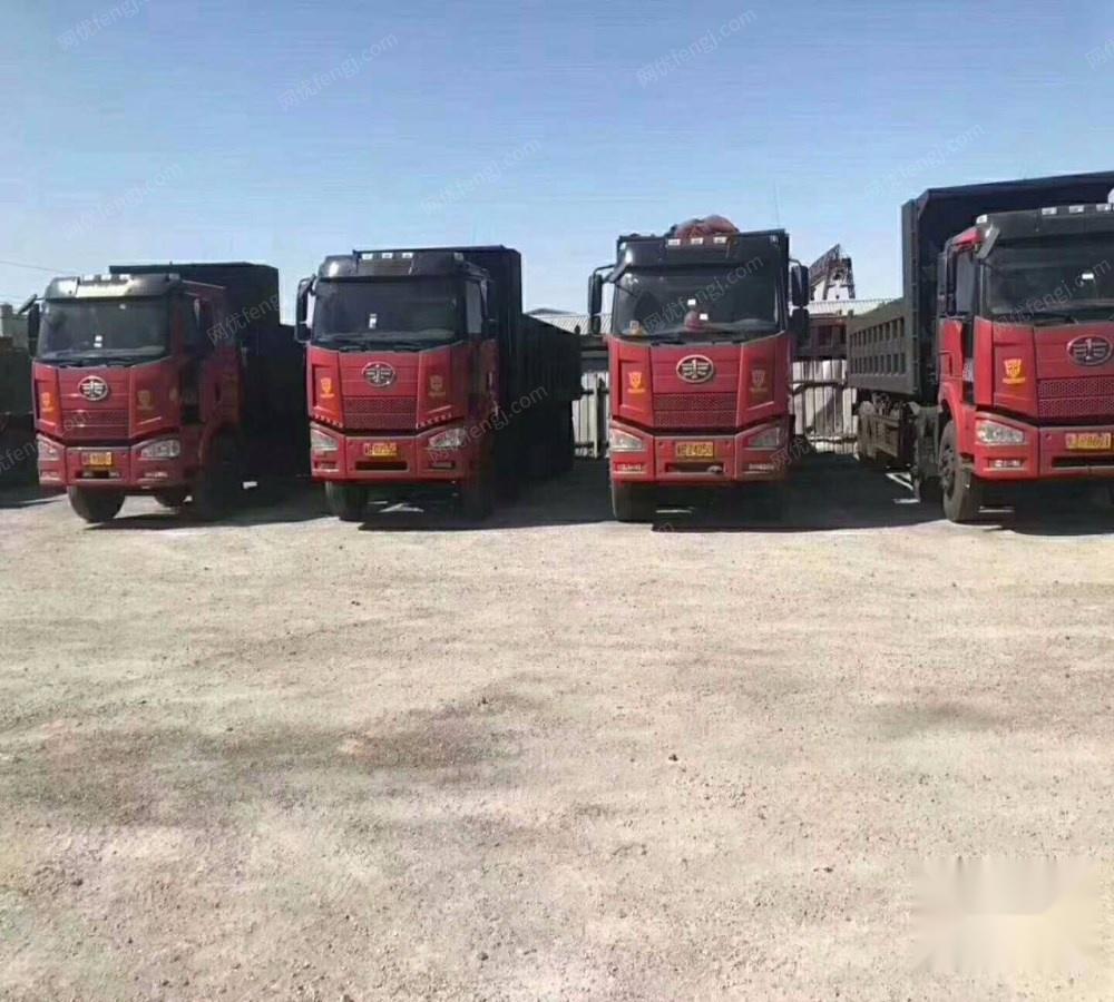 出售国四解放青皮自卸车14年—16年多台纯干活车