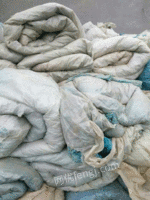 供应台长期大棚膜 山东潍坊通用废塑料价格