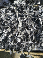 求购吨面向全国大量高价回收铅废料 上海闵行区废铅