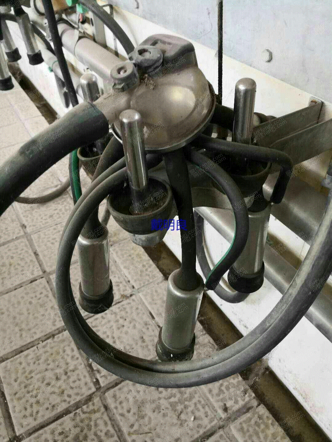 二手乳品厂设备回收