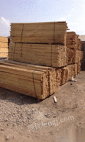 回收工程方木、木胶板