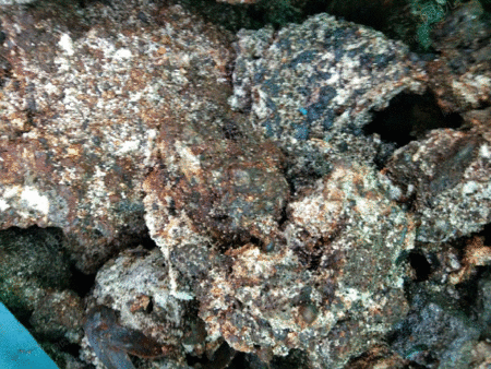 名称:钢渣铁屑存放状态:仓库存放设备状态:正常使用 大量收购镍铁渣