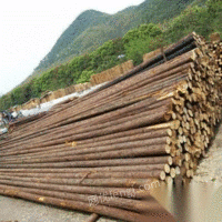 河北秦皇岛长期供应园林绿化杉木杆，绿化竹竿