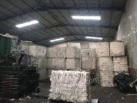 出售废白纸 每个月5.600吨 进口废纸