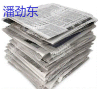广西桂林求购100吨废报纸电议或面议