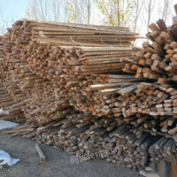 内蒙古赤峰出售一百多方木方 3百多块翘板