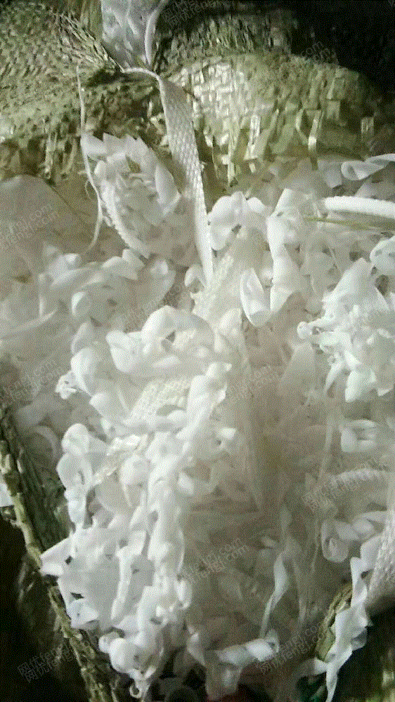 工程废塑料回收