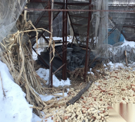 玉米风干仓半成品 1500元