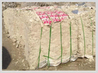 河北沧州大量求购各种再生纸浆