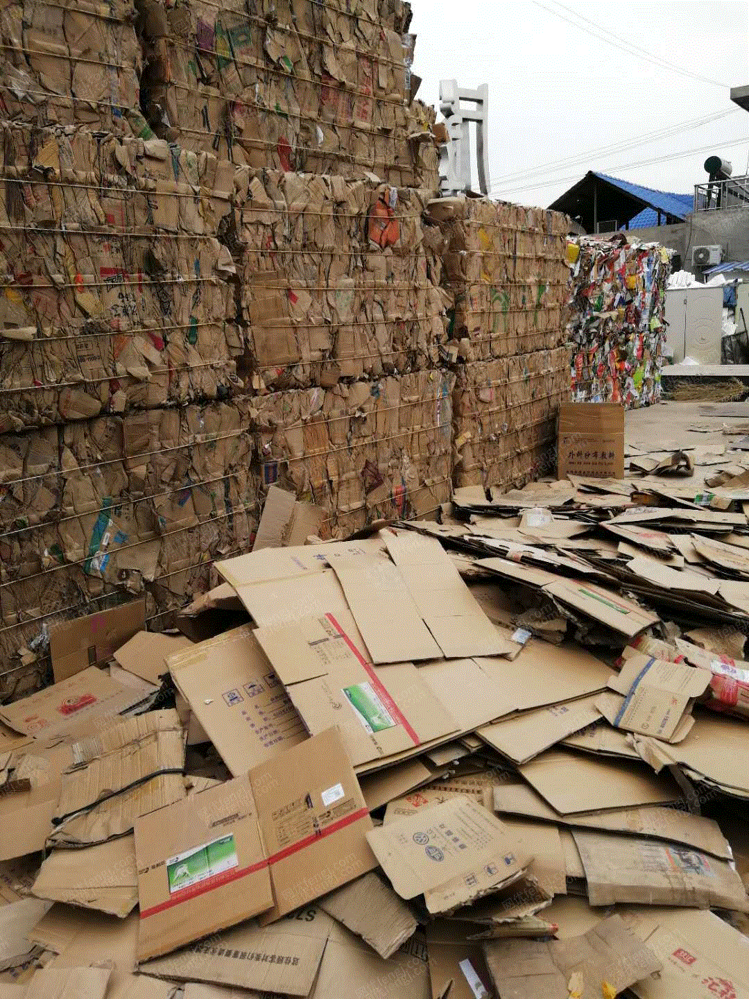 求购黄板纸要求含量90%以上