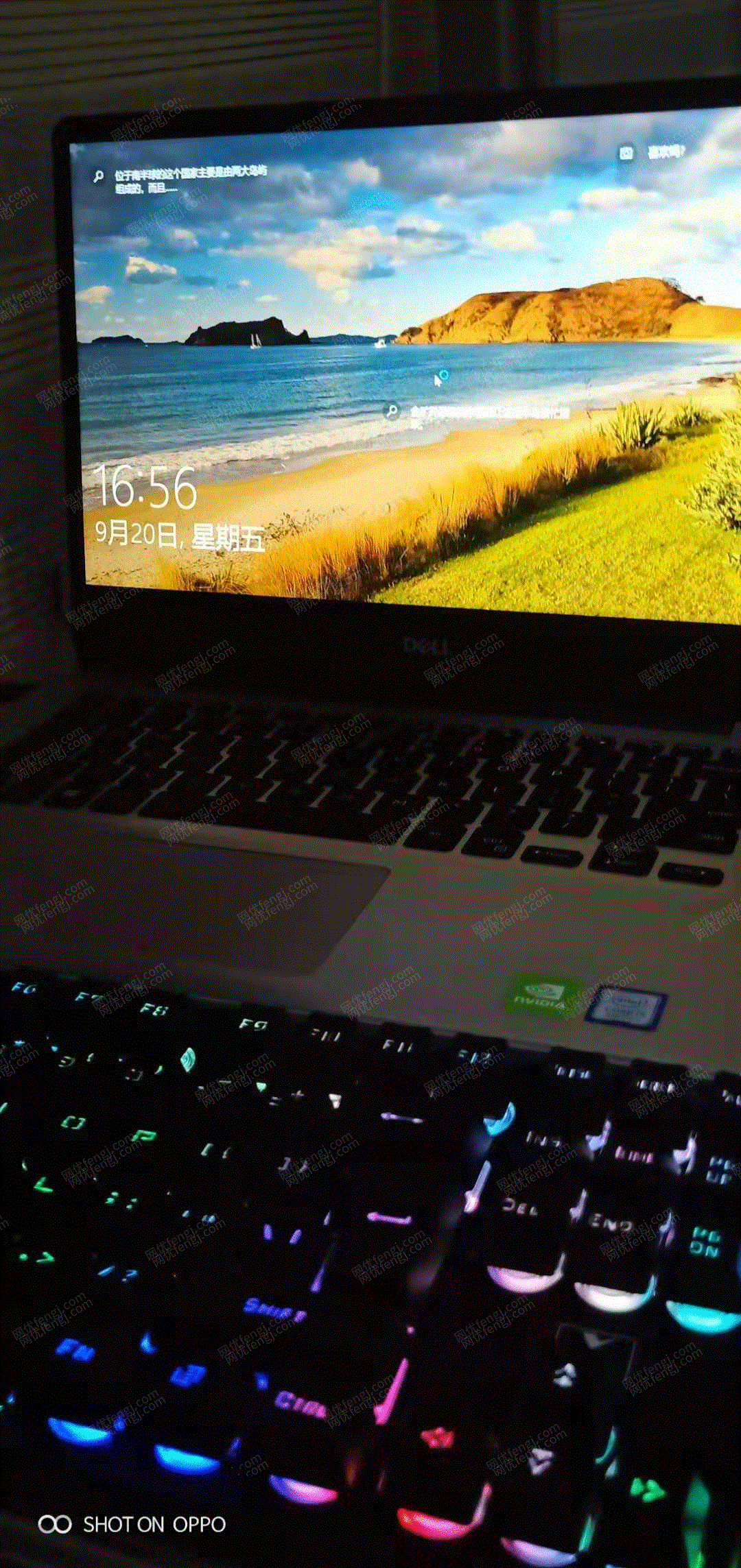 笔记本价格