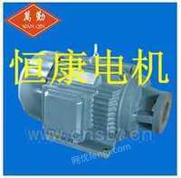 供应标准柱塞泵电机