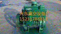 河北省沧州市真空泵 真空设备