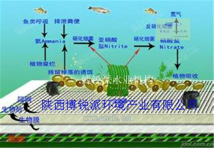 生活污水处理设备出售