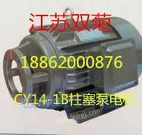 江苏双菊CY14-1B柱塞泵电机