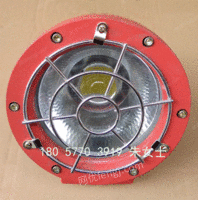 出售DGS24/127L(A)矿用隔爆型LED投光灯，LED防爆灯