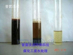 填料设备价格