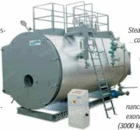SB/V系列钢制大型蒸汽锅炉
