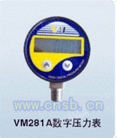 VM281数字压力表