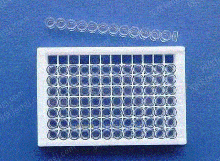 96孔酶标板(透明-上海精睿生物科技发展有限公司
