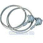 WRNK，WZPK铠装热电偶/热电阻