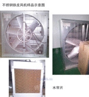 厦门负压式风机 工业风扇 窗式排气扇 耐高温通风扇 降温设备