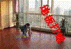 出售
