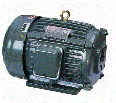 sheng feng elelectr icco.